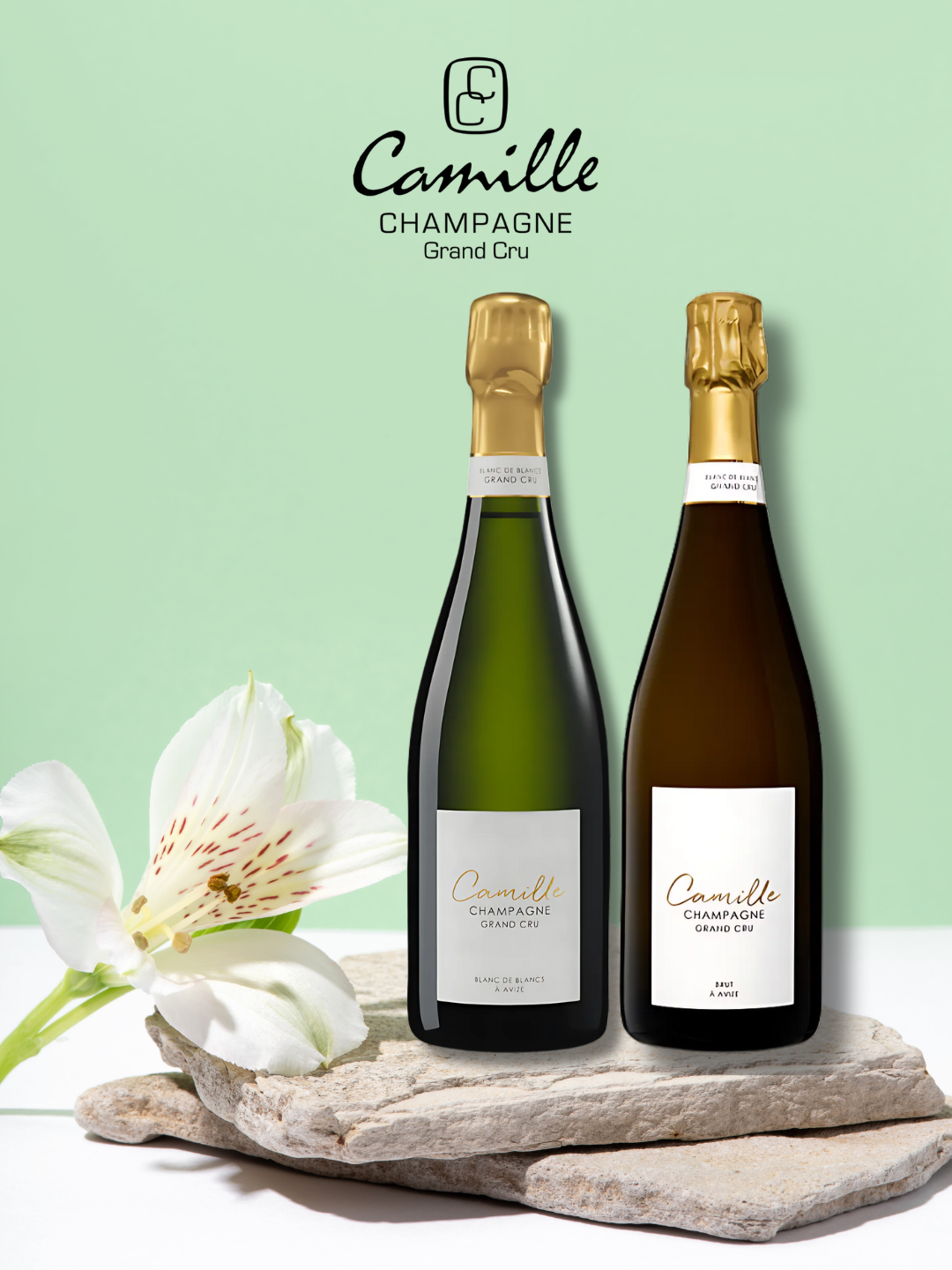 winekin-camille