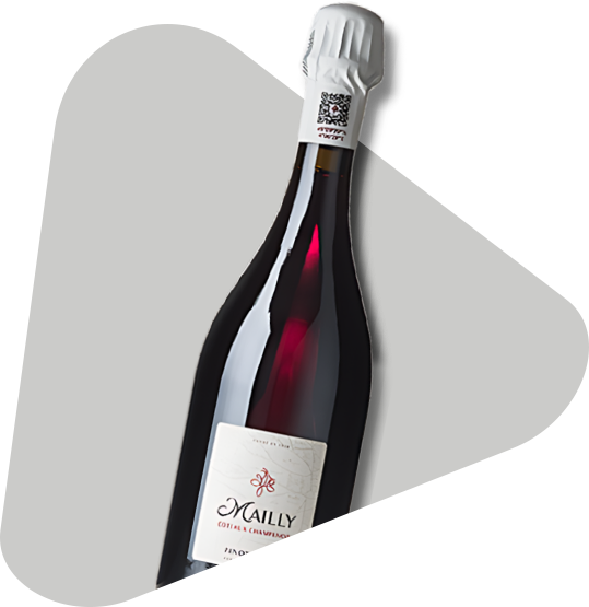 Mailly Coteaux Champenois Pinot Noir wine bottle with white foil and label.